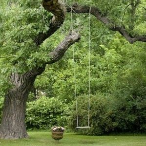 Meet your Posher, Joanne